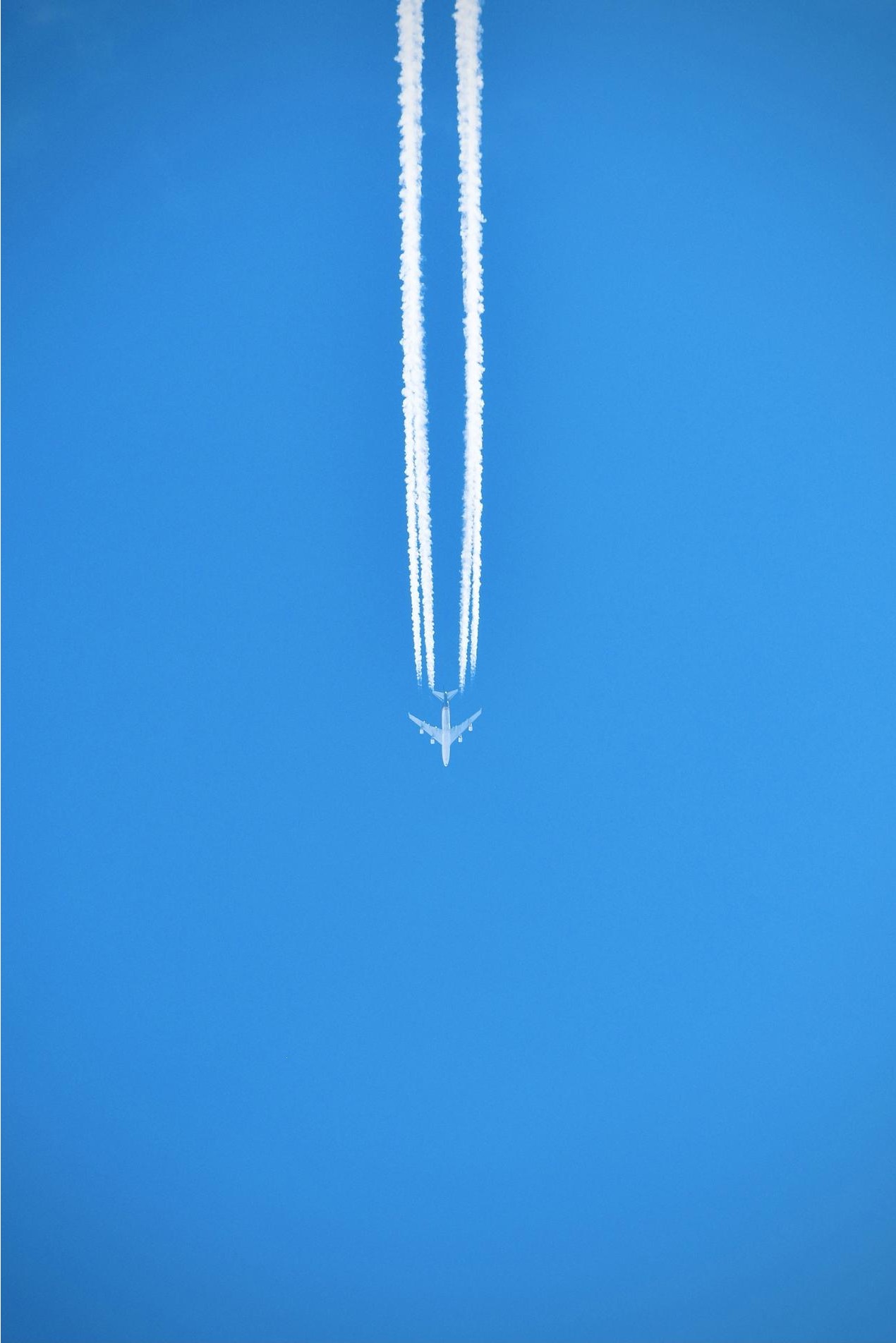 Dashboard screenshot